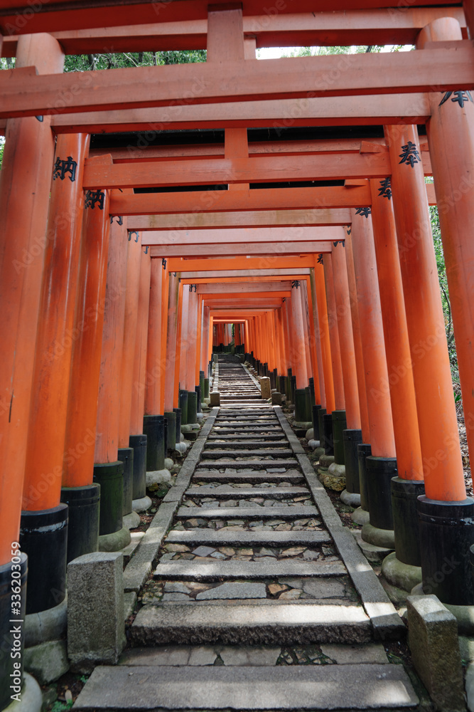 Rows of Torii Gate lasted Quite Long Distance Rows of Torii Gate lasted Quite Long Distance