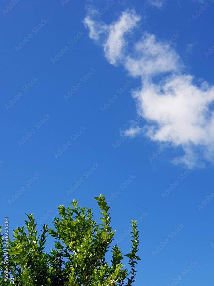 Ciel bleu Ciel bleu