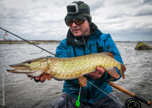 Sea pike caught in April on fly rod