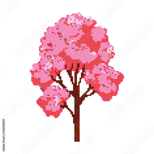 Pixel sakura tree. Pixel art 8 bit vector