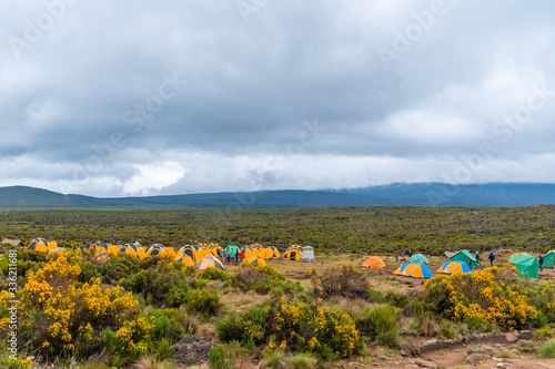 Camping on mount Kilimanjaro in tents to see the glaciers in Tanzania, Africa photo