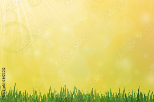 Spring background with copy space. Sunny day and grass. illustration