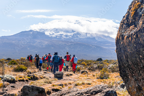 Group of trekkers hiking among snows and rocks of Kilimanjaro mountain photo