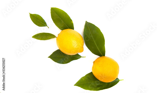 lemons with leaves on a white empty background. © Egor