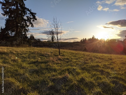 Sunset in an open, windswept, grassy meadow with small, dormant tree in the foreground. Minor lens flare effect visible on the sun in the background.