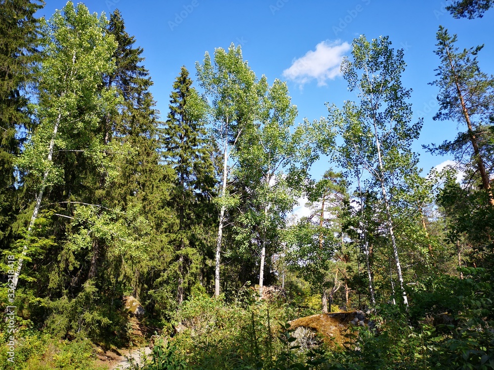 Fototapeta premium imatra finland