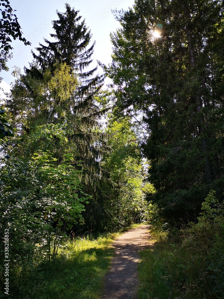 Fototapeta premium summer weekend in imatra finland
