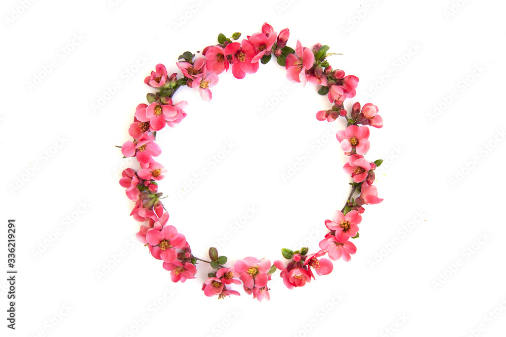 Round frame with pink buds of flowers, branches and leaves isolated on a white background. layout, top view, space.