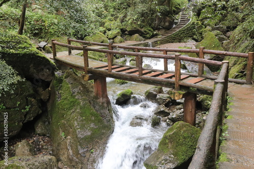  wooden bridge pathway a river in a mountain forest in Sichuan  China