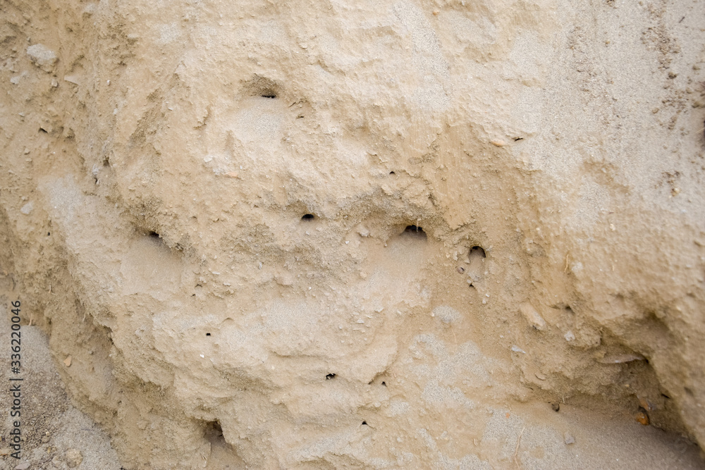 sedimentary layers of the rock in the sand scree. sand, pebbles and shells in sedimentary rocks. sedimentary layers of the rock in the sand scree. sand, pebbles and shells in sedimentary rocks.
