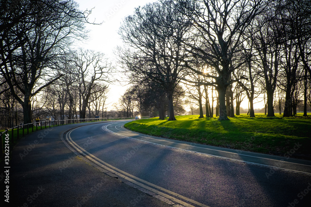Fototapeta premium Sunset between trees, Phoenix park, Dublin - Ireland