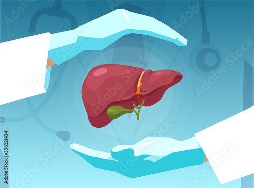 Vector of a doctor protecting human liver with his hands.