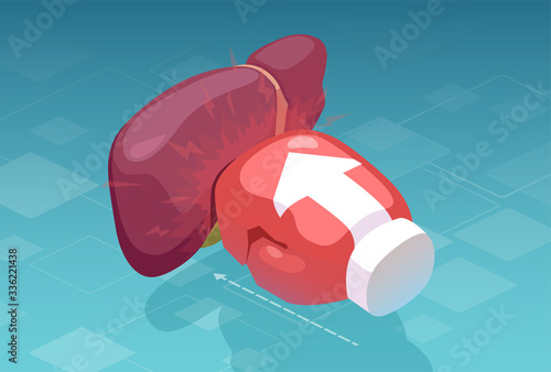 Vector of a boxing glove punching a human liver. photo