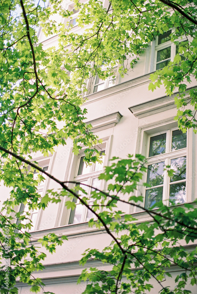 white facade with french windows white facade with french windows