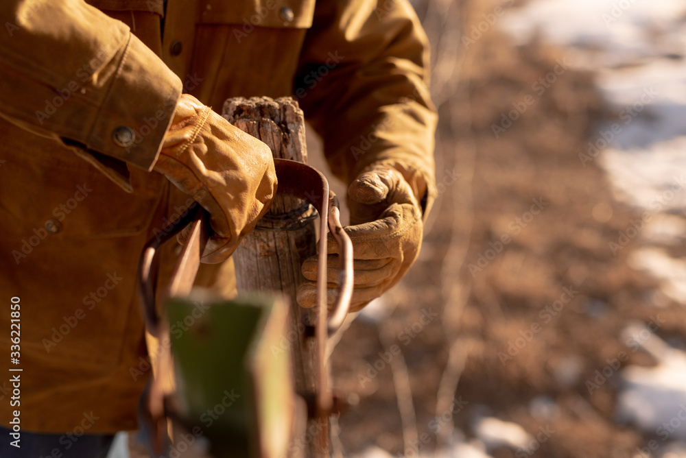 Rancher Fixing Barbwire Gate during Sunrise Rancher Fixing Barbwire Gate during Sunrise