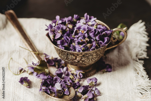 Violet violets flowers bloom from a spring forest. Viola odorata in matte dark photography styled studio shoot
Fragrant edible plant 