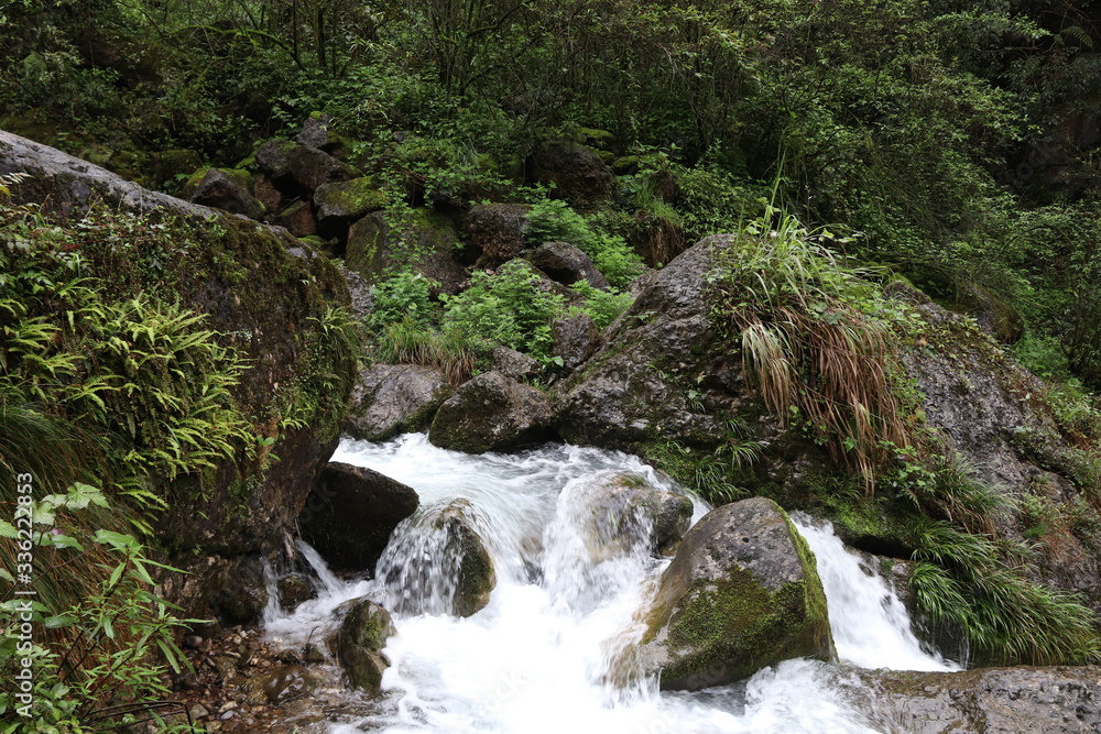 Beautiful landscape of cascade falls over mossy rocks, stones cover with moss, in a Mountain in Sichuan, China Beautiful landscape of cascade falls over mossy rocks, stones cover with moss, in a Mountain in Sichuan, China