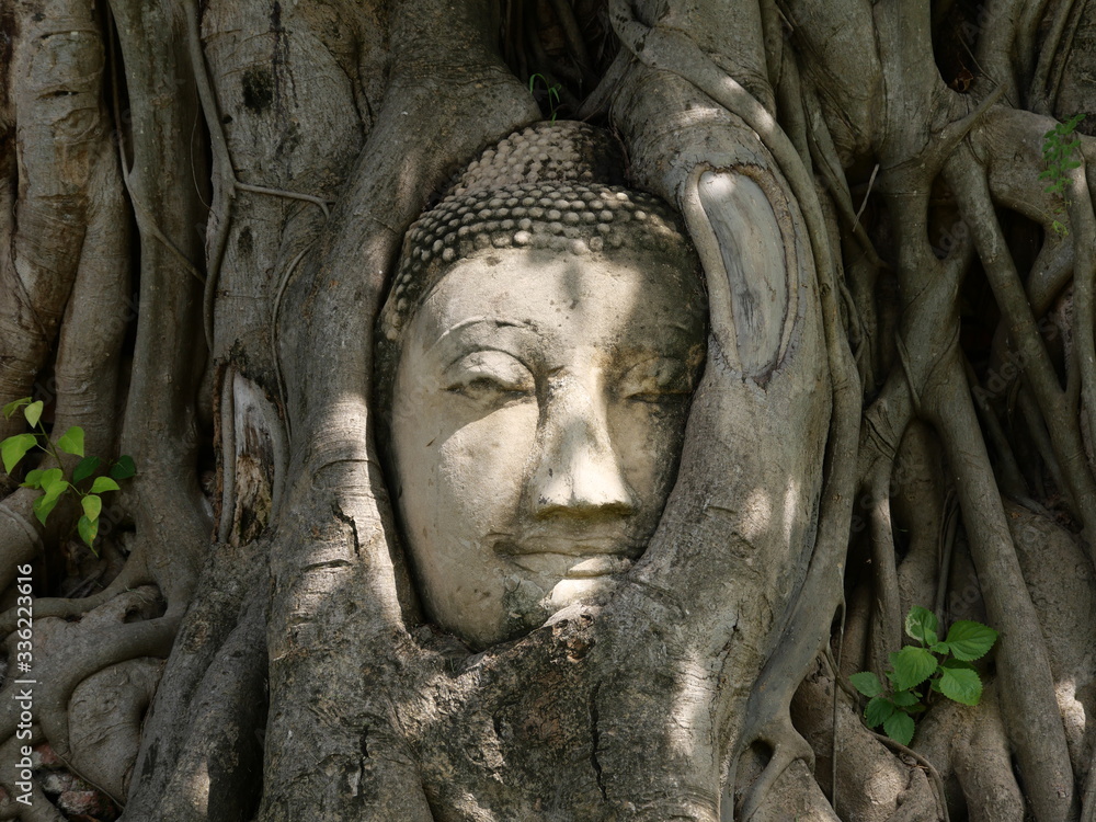 Buddha Head entwined in Tree Roots located in Wat Mahathat, Ayutthaya, Thailand