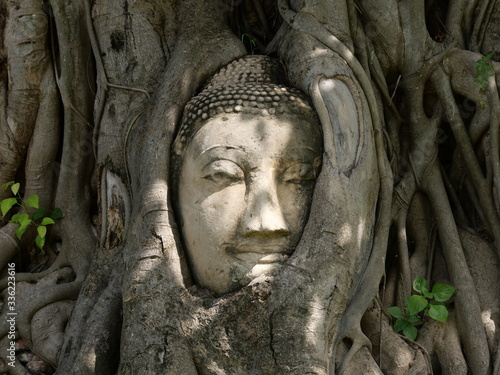 Buddha Head entwined in Tree Roots located in Wat Mahathat, Ayutthaya, Thailand