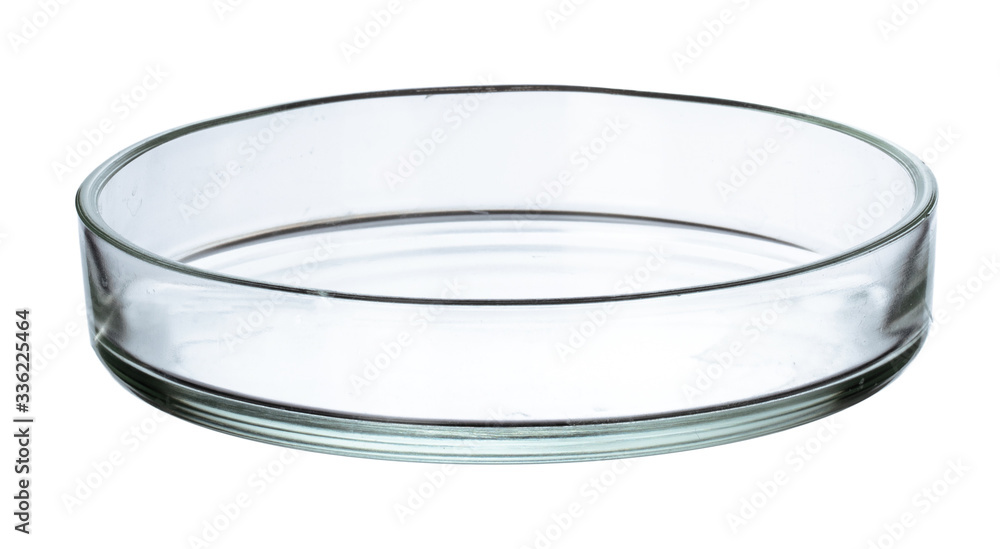 Petri dish isolated on white Petri dish isolated on white