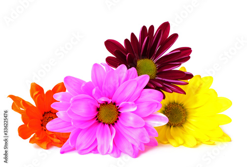 mix of colorful flowers