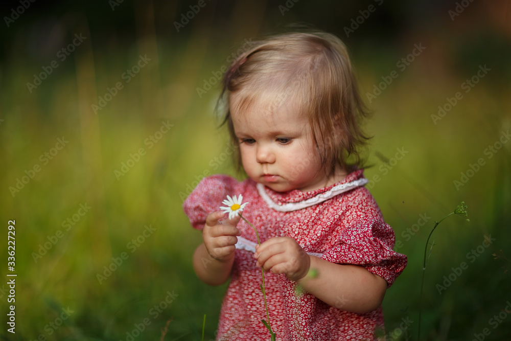 baby girl walking in the meadow, collecting wild flowers, daisies, crawling on the grass, happy childhood, summer baby girl walking in the meadow, collecting wild flowers, daisies, crawling on the grass, happy childhood, summer