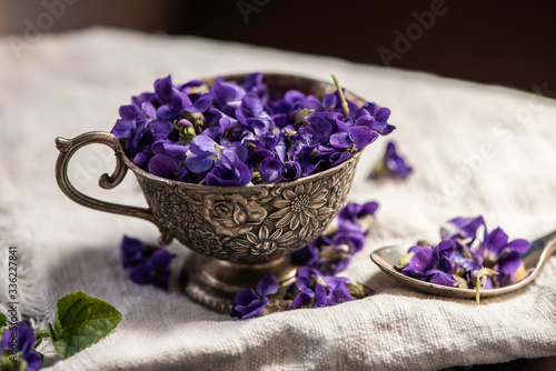 Violet violets flowers bloom in the close up studio shot styled  photography. Viola odorata 