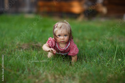 baby girl walking in the meadow, collecting wild flowers, daisies, crawling on the grass, happy childhood, summer