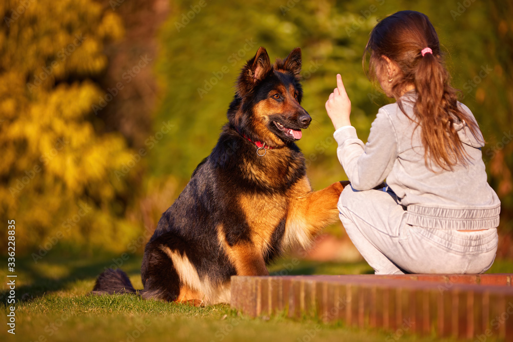 Bohemian shepherd, dog watches girl with long hair and finger raised. Family play with dog in garden. Children and dogs. Active, excited dog and his family. Ancient Czech breed, purebred. Bohemian shepherd, dog watches girl with long hair and finger raised. Family play with dog in garden. Children and dogs. Active, excited dog and his family. Ancient Czech breed, purebred.