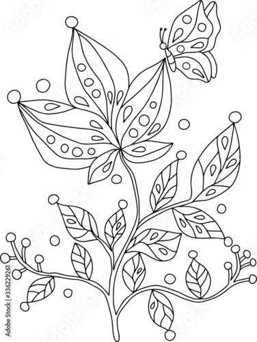 Vector dodle floral illustrated in black and white.
Flowers and ornaments. Antistress. photo