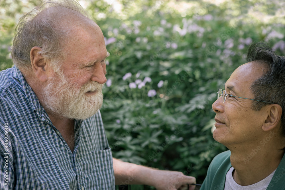 Senior Gay Couple in a Park Senior Gay Couple in a Park