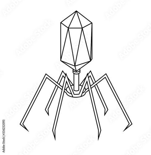Bacteriophage Illustration