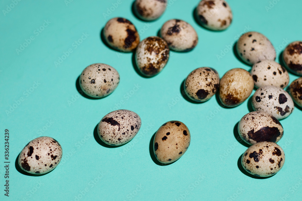 Obraz premium Quail eggs are randomly located on the right on a pale green background. Photo taken close up. Bright photo for your best design.