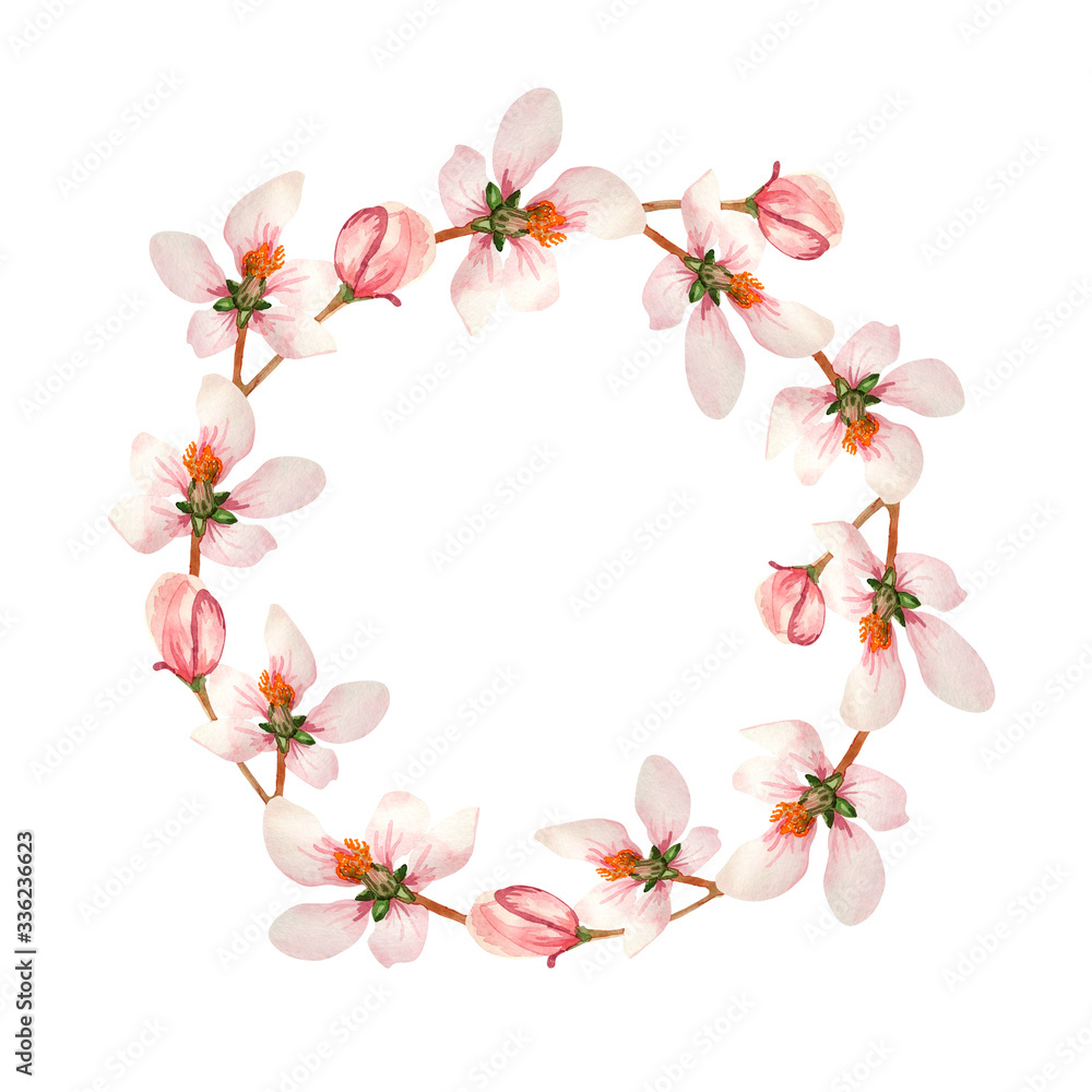 Watercolor wreath of cherry or apricot flowers on a white background. Delicate round frame of sakura flowers.
