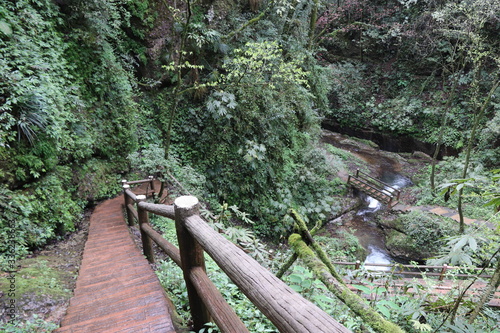 wooden pathway near a river in a mountain forest in Sichuan, China