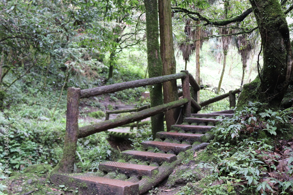 wooden pathway near a river in a mountain forest in Sichuan, China wooden pathway near a river in a mountain forest in Sichuan, China