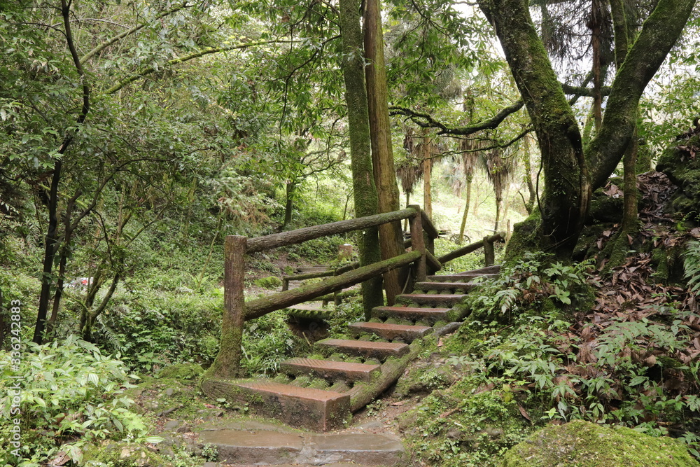 wooden pathway near a river in a mountain forest in Sichuan, China wooden pathway near a river in a mountain forest in Sichuan, China
