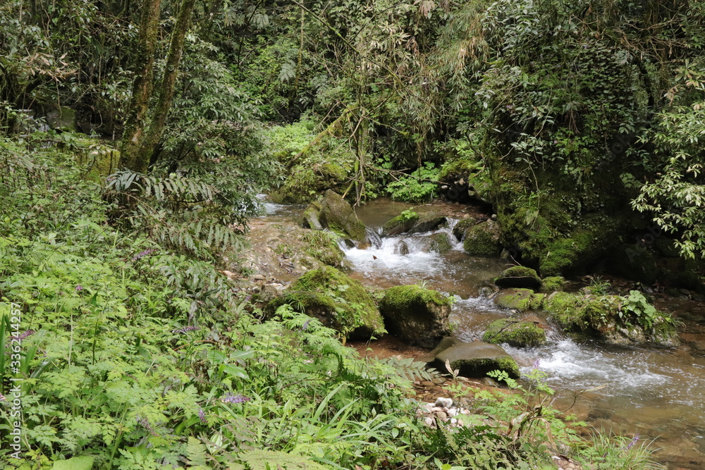 Beautiful landscape of cascade falls over mossy rocks, stones cover with moss, in a Mountain in Sichuan, China