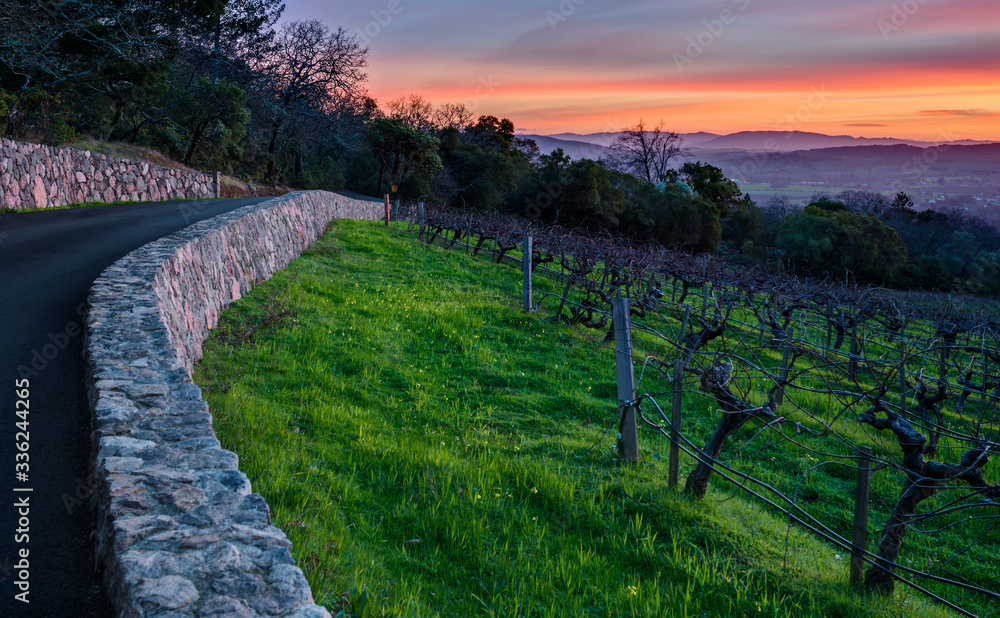 Sunset over Sonoma Valley and Vineyard