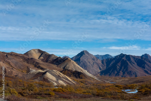 Barren set of sandy and rocky ridgelines rise above Alaskan fall color scrubs