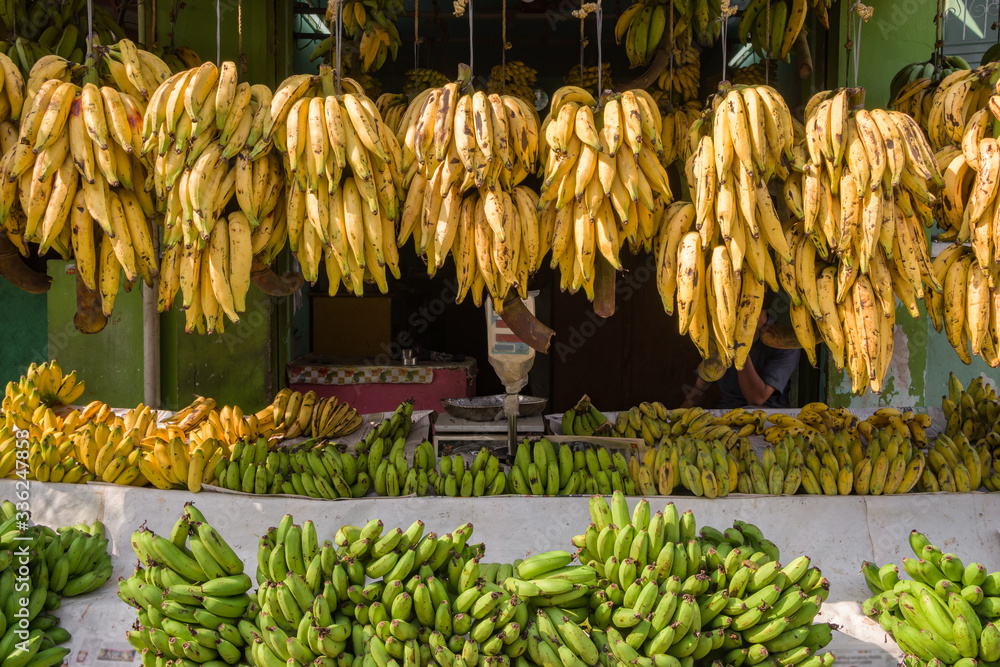 Variety of bananas in banana shop in Kerala, India Stock Photo | Adobe ...