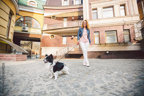 Woman walking with dog in city street. young redhaired Caucasian woman walking along European street with small Chihuahua breed dog of two colors on leash. exercise walking with Chihuahua