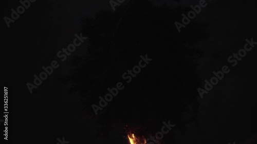 pine branch on fire slowly burns