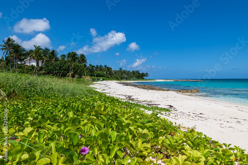 Fototapeta Naklejka Na Ścianę i Meble -  View of Cabbage beach (Paradise Island, Nassau, Bahamas).