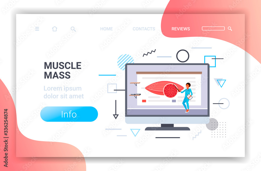 doctor explaining anatomy of human muscles presentation on computer screen healthcare muscle mass concept horizontal full length copy space vector illustration