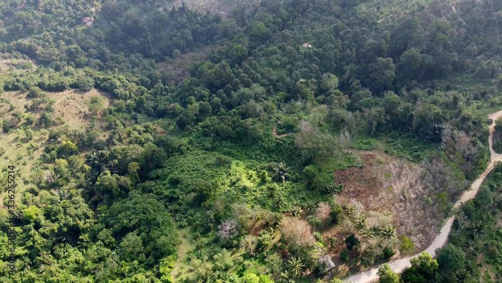 tropical island with lots of greenery and green palms filmed from above with drone. tropical island with lots of greenery and green palms filmed from above with drone.