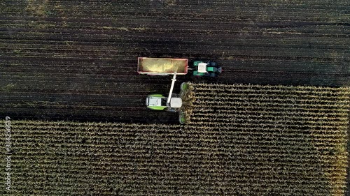 Maisernte, Maishäcksler in der Aktion, Erntewagen mit Traktor