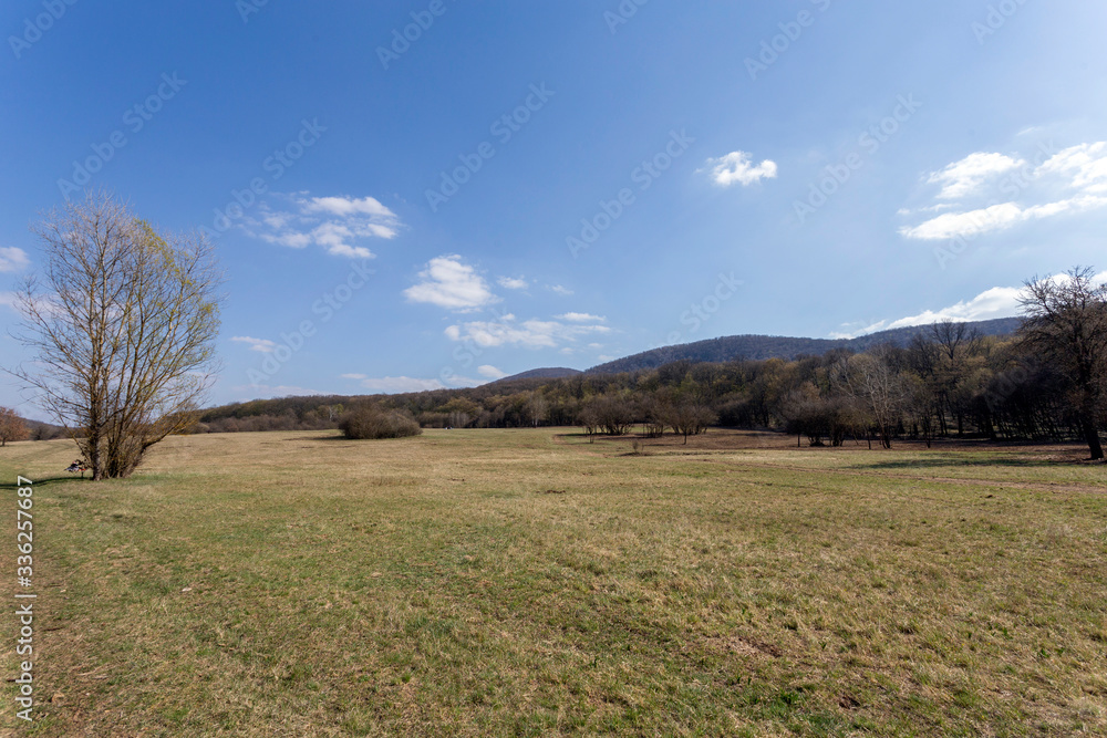 Gyadai meadow near the village of Szendehely, Hungary.