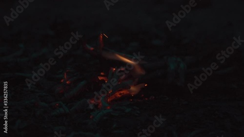 pine branch on fire slowly burns