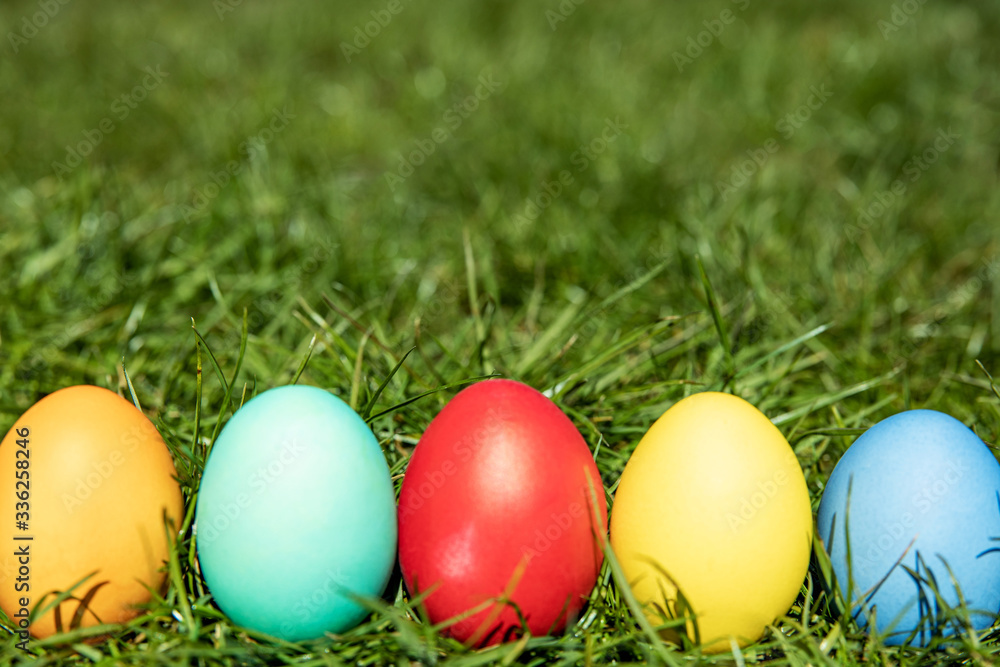 Multi-colored Easter eggs on the grass, the background is blurred, shallow depth of field, selective focus. Easter holiday concept Multi-colored Easter eggs on the grass, the background is blurred, shallow depth of field, selective focus. Easter holiday concept
